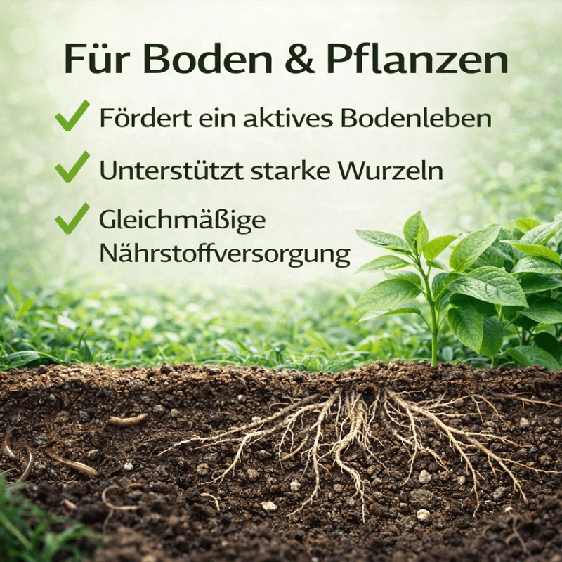 Aronia Dünger Langzeitwirkung | Flora Boost PRO NPK 7-4-6 für optimale Pflanzenpflege