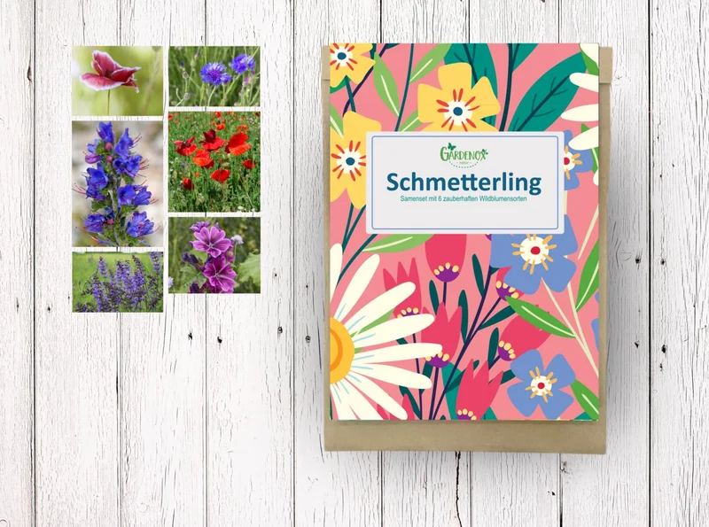 3 Samensets zum Frühlingserwachen