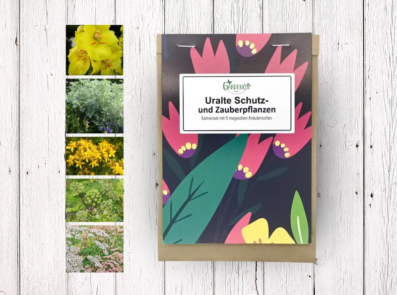 3 Samensets zum Frühlingserwachen