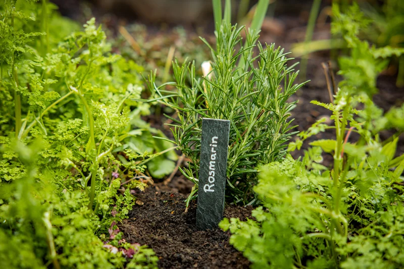 Geschenkset "Gartenzauber"