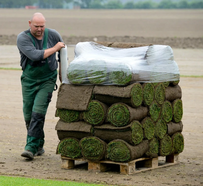 Palettenpfand je 50m² Rollrasen