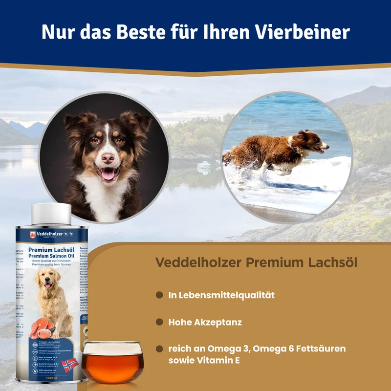 Lachsöl für Hunde & Pferde 1L – Omega-3 & 6 aus Norwegen