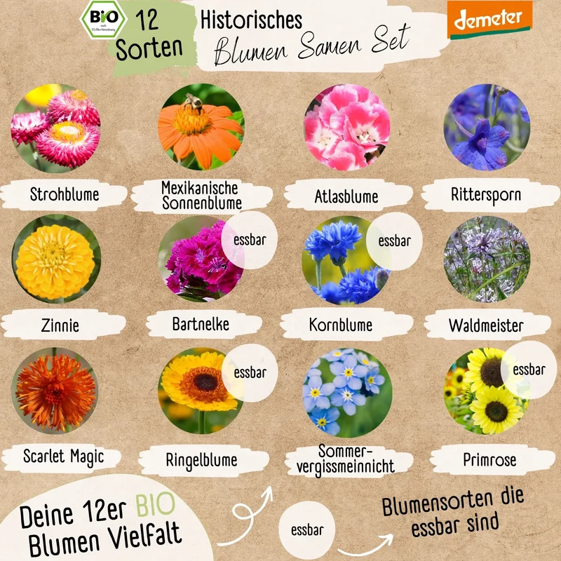 Dein 12 Demeter Historisches Blumen Samen Set
