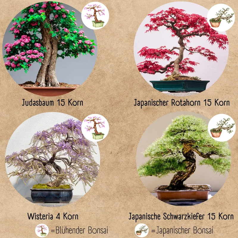 Bonsai Garten Starter Set