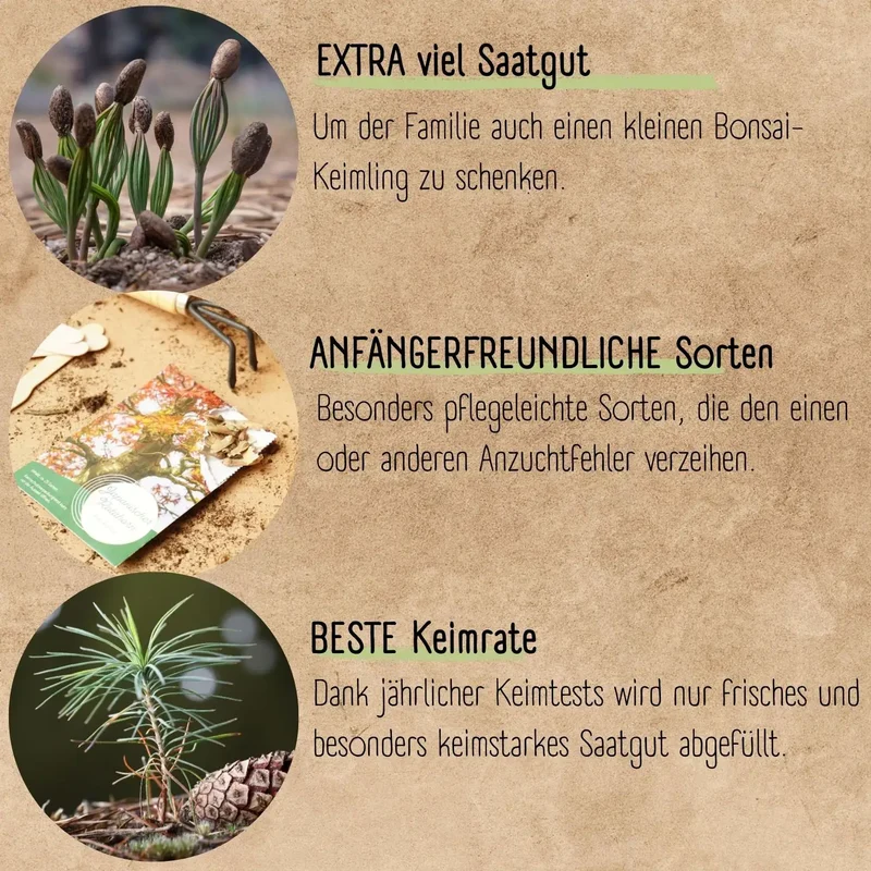 Bonsai Anzuchtset