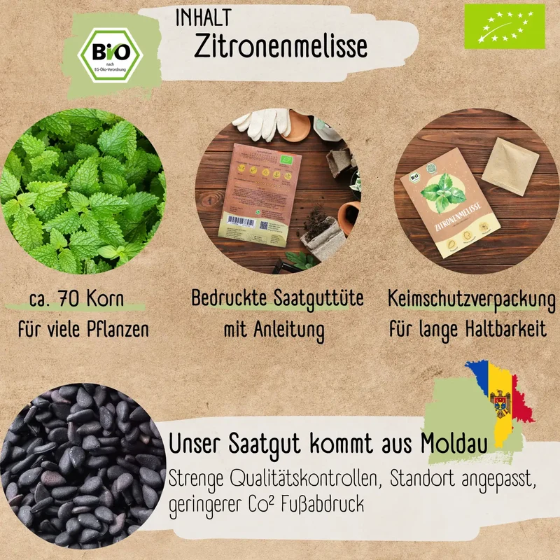 Bio Zitronenmelisse Samen