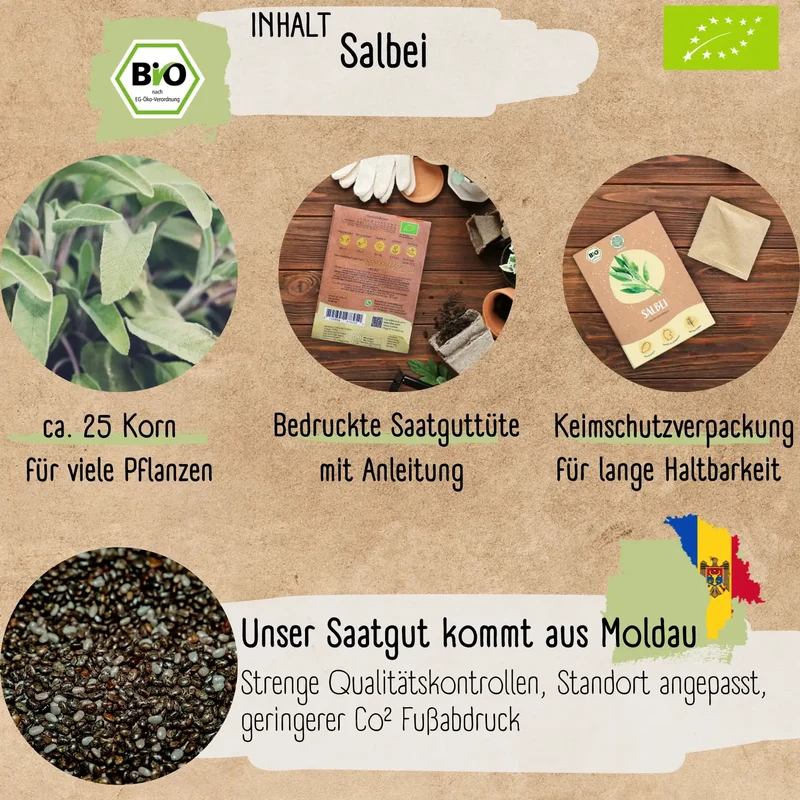Bio Salbei Samen