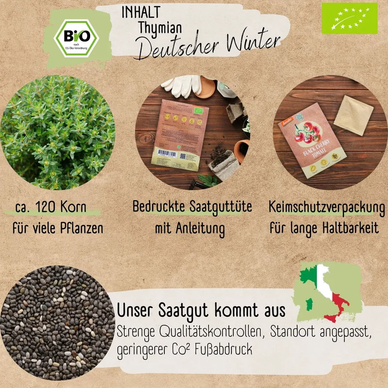 Bio Thymian Samen
