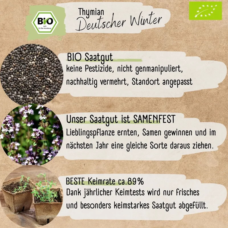 Bio Thymian Samen