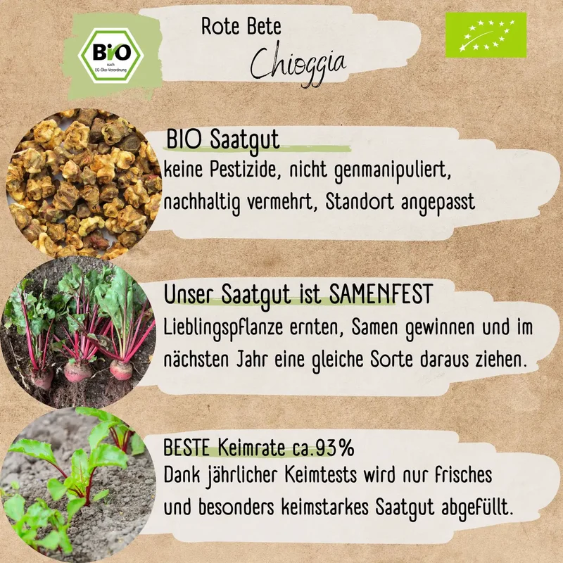 Bio Rote Bete Chioggia Samen