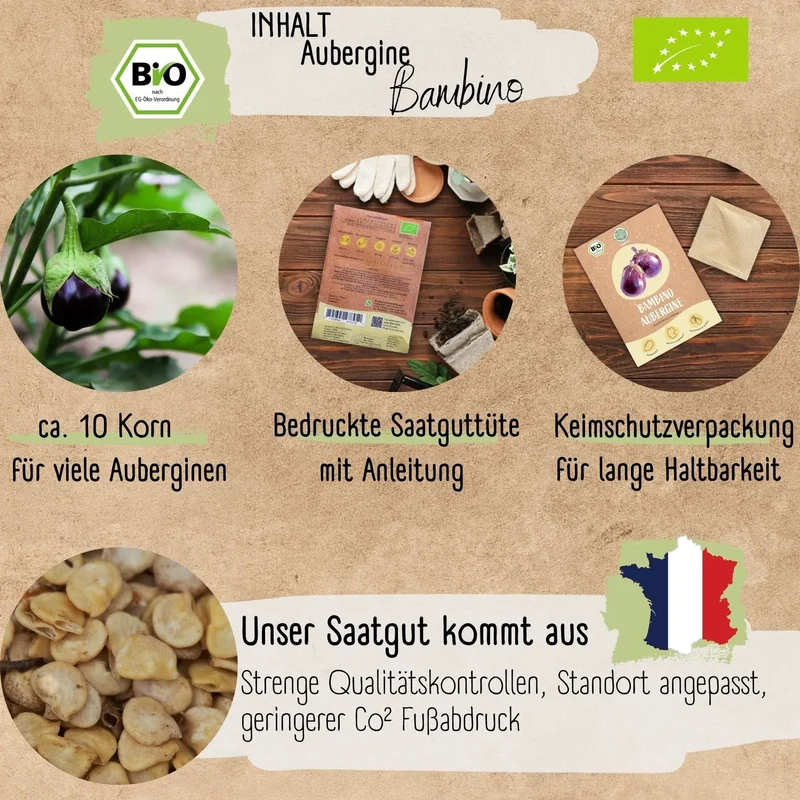 Bio Aubergine Bambino Samen