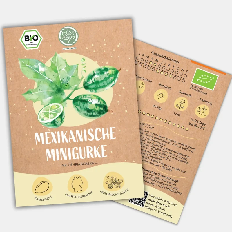 Bio Mexikanische Minigurke Samen