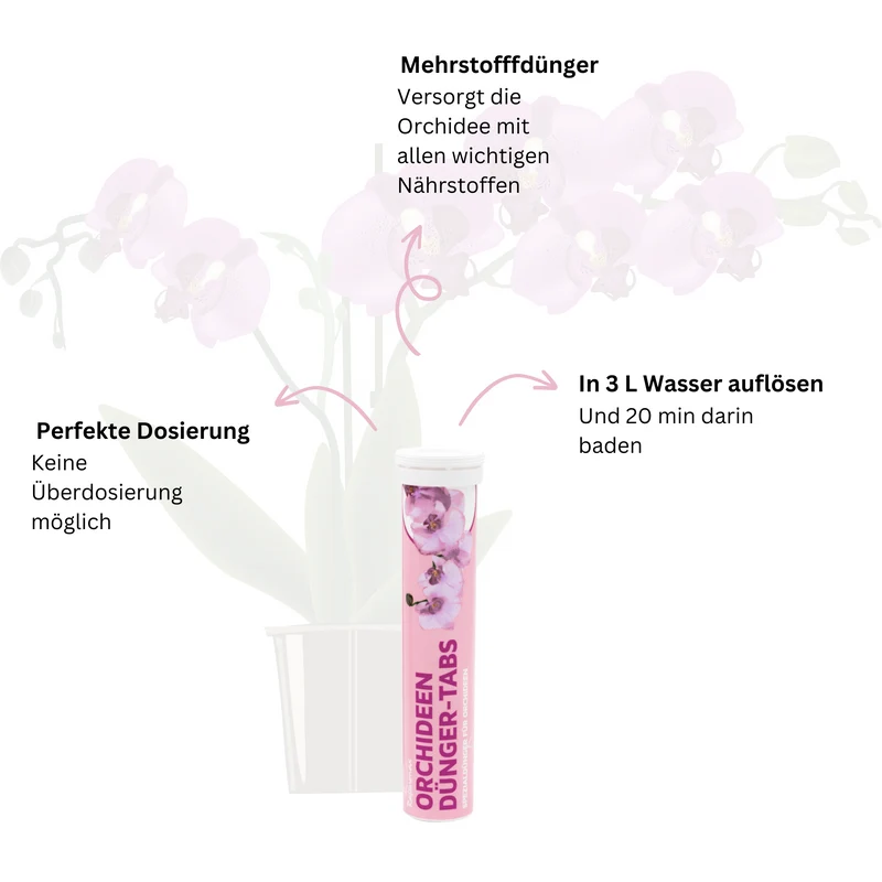 Rasenmax Orchideendünger Tabs - 12x 20 Stück (240 Stück)