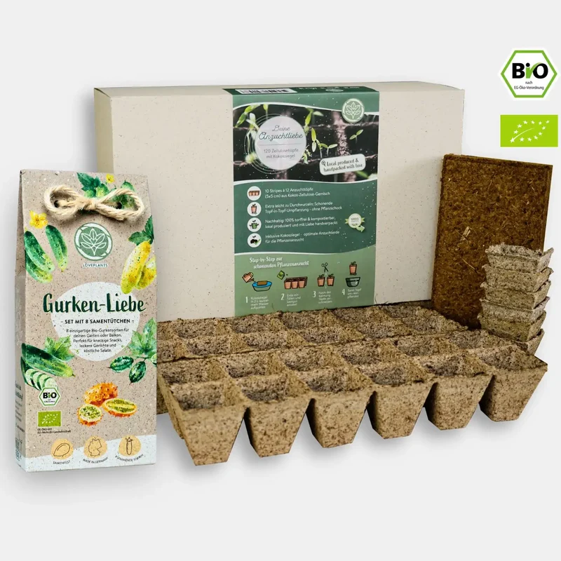 Gurken Starter Set
