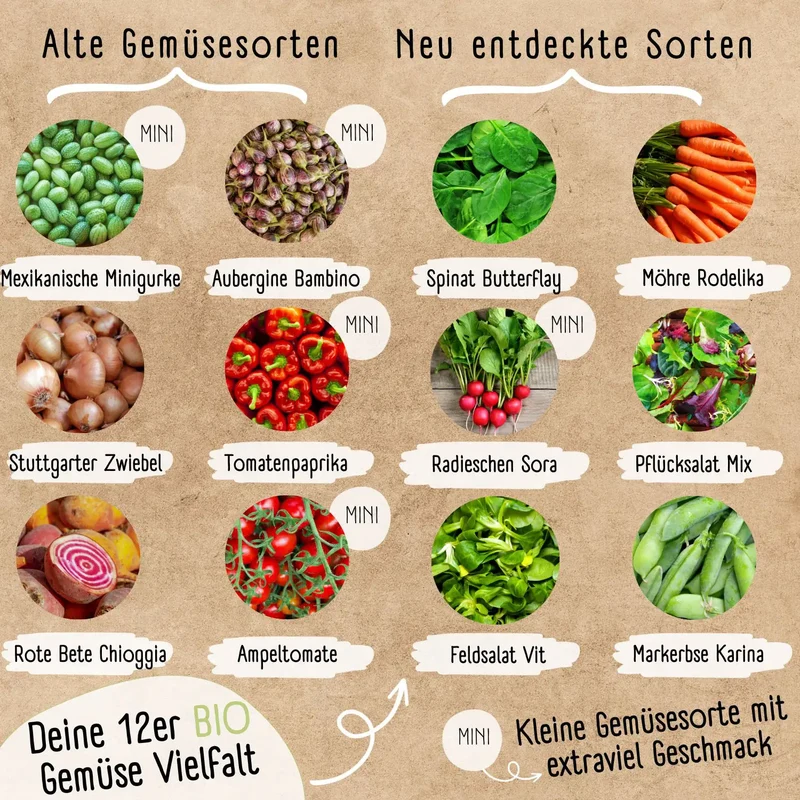 Balkon Starter Set