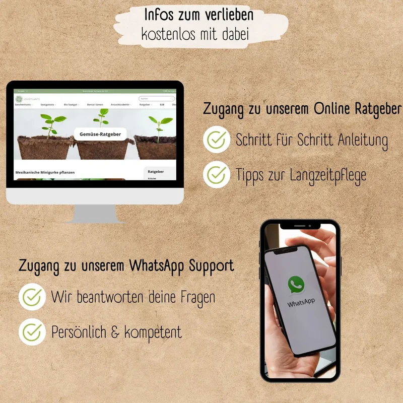 Balkongarten Starter Set
