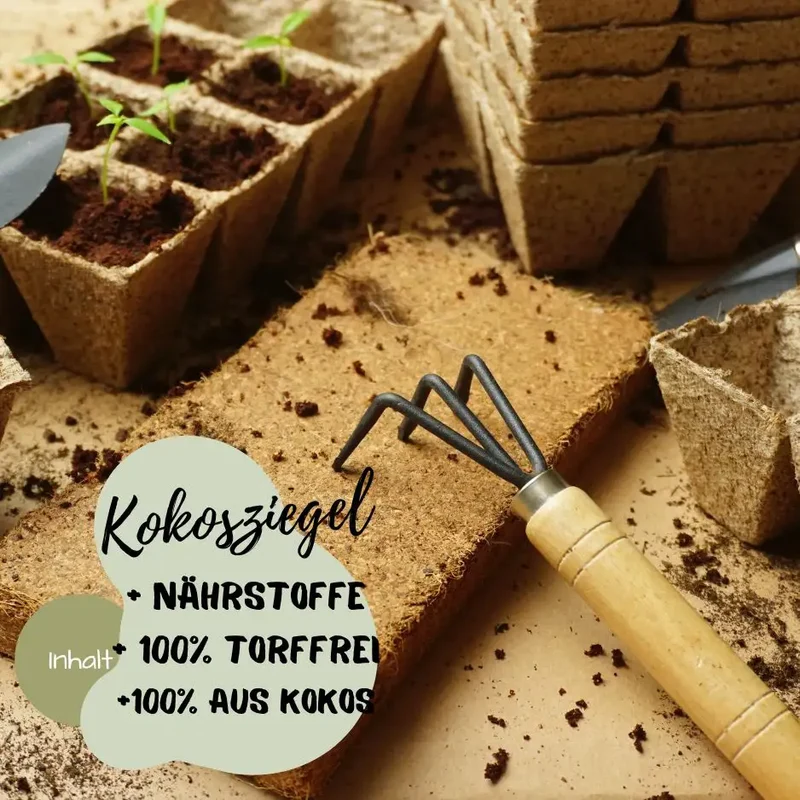 Gemüsegarten Starter Set