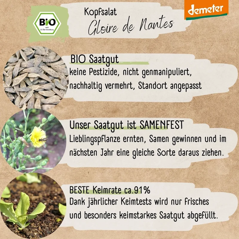 Demeter Gloire de Nantes Kopfsalat Samen