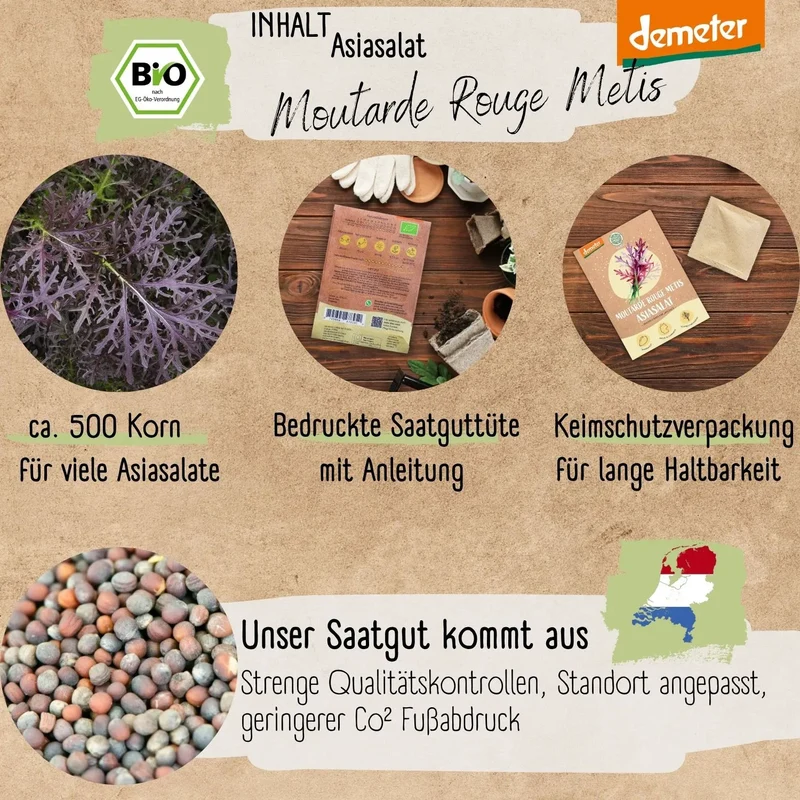 Demeter Asiasalat Purple Mizuna Samen