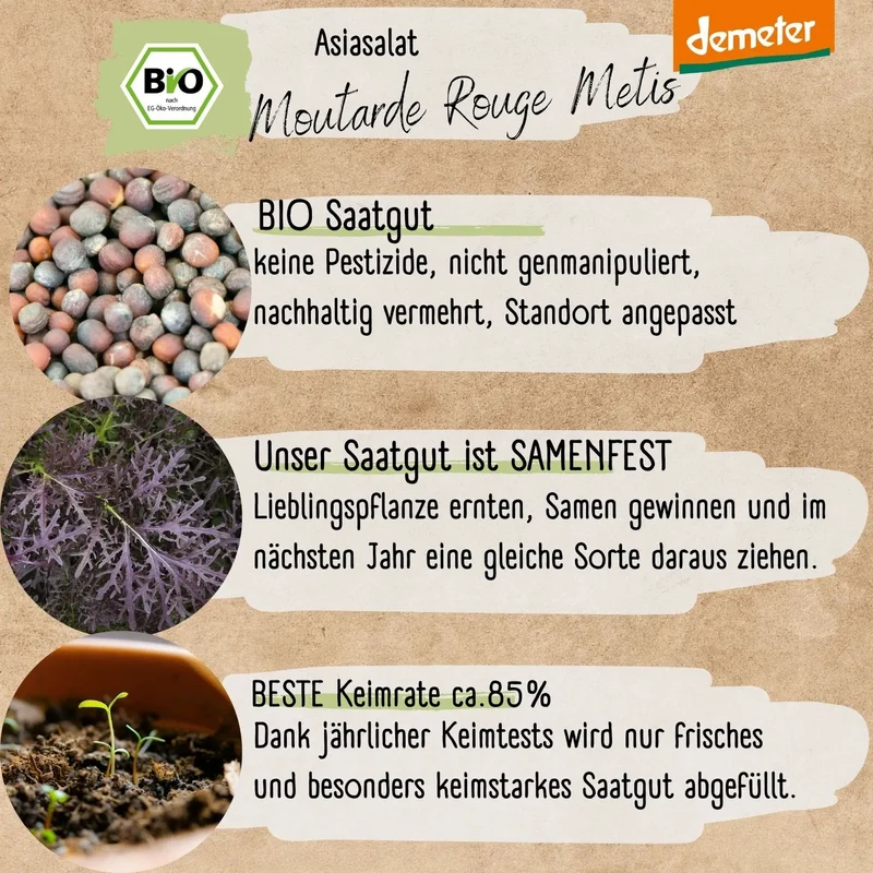 Demeter Asiasalat Purple Mizuna Samen
