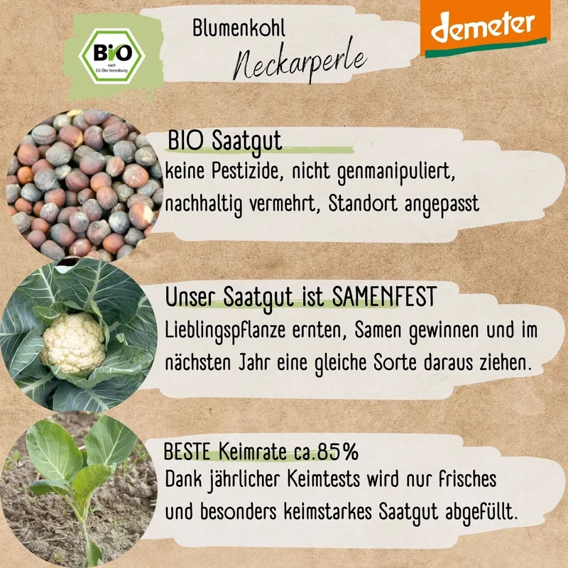 Demeter Blumenkohl Neckarperle Samen