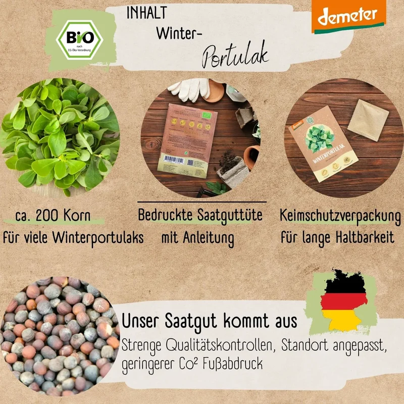 Demeter Winterportulak Samen
