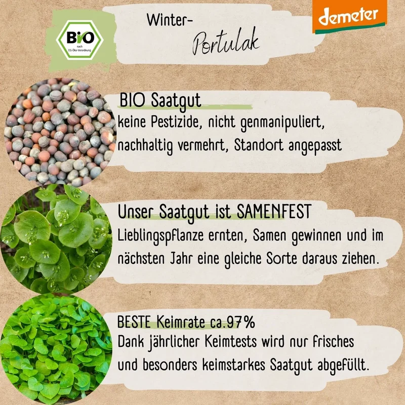 Demeter Winterportulak Samen