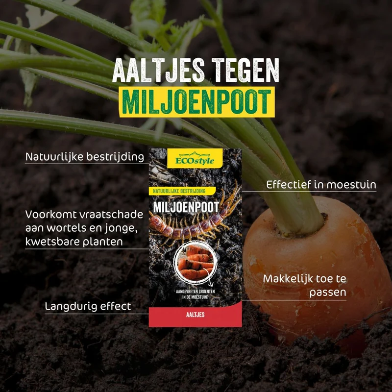 Aaltjes tegen miljoenpoot