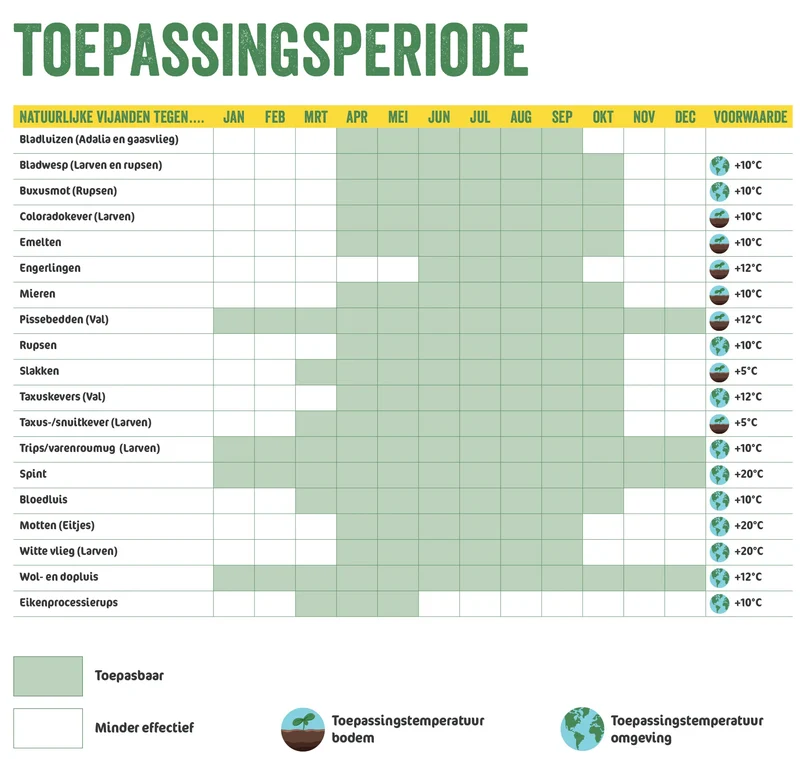 Aaltjes tegen miljoenpoot