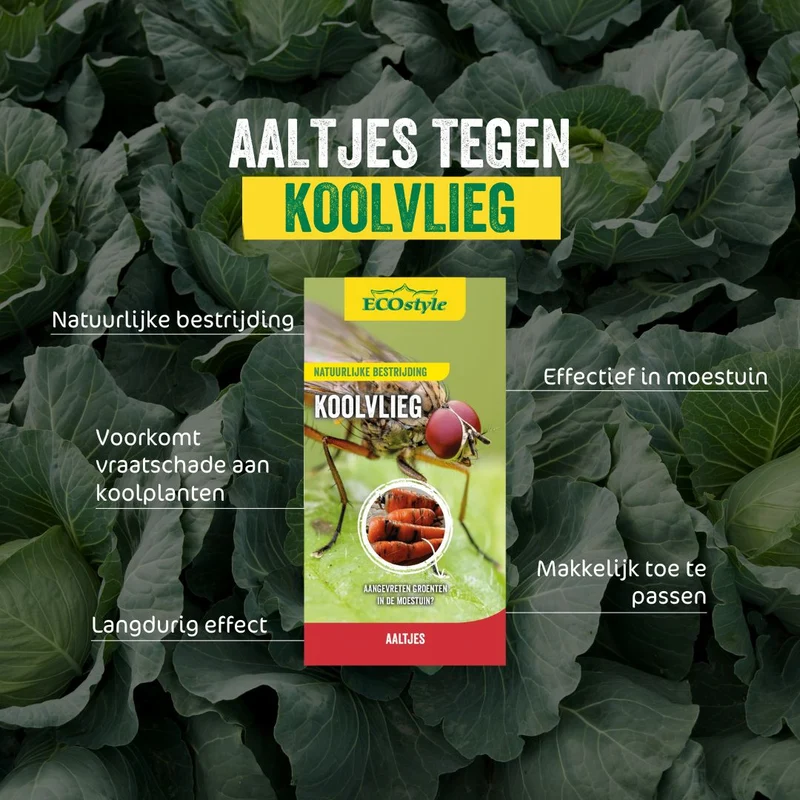 Aaltjes tegen larven koolvlieg
