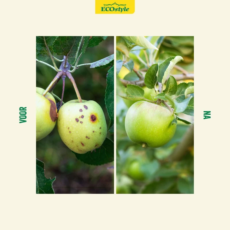 Aaltjes tegen rupsen fruitmot