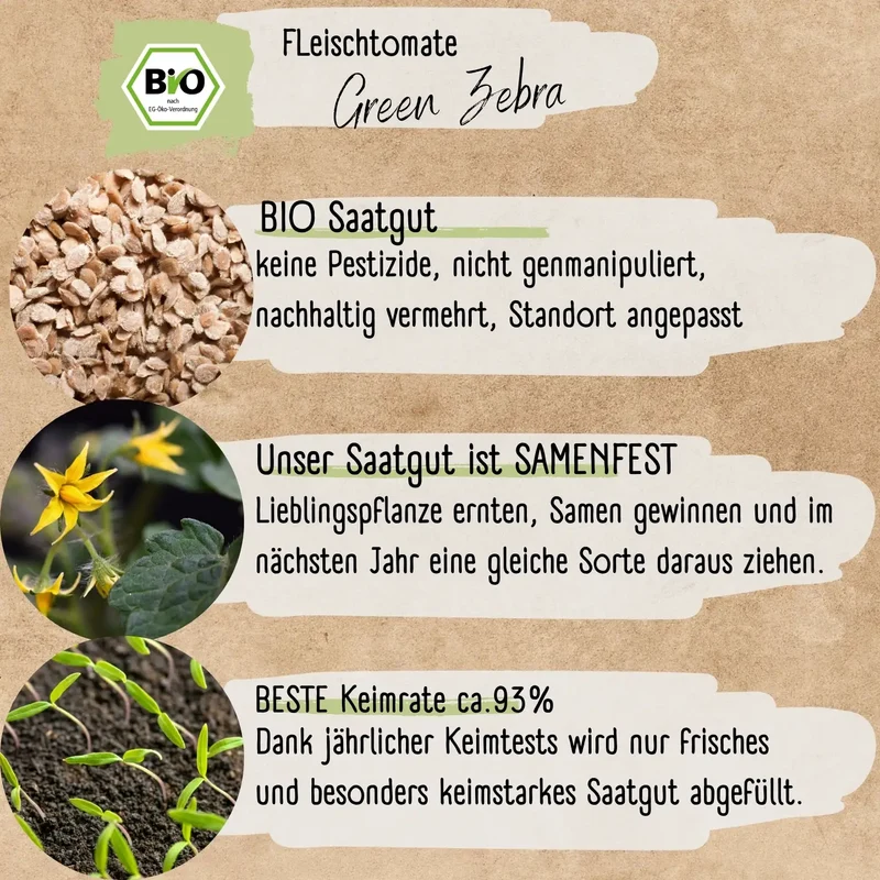 Bio Fleischtomate Green Zebra Samen