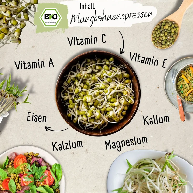 Bio Mungbohnesprossen Samen 200g