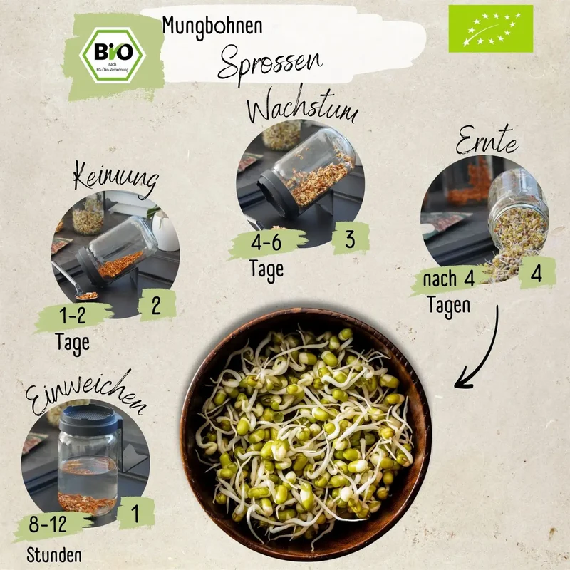 Bio Mungbohnesprossen Samen 200g