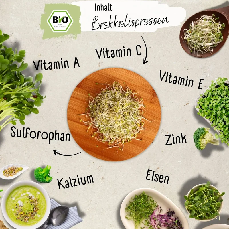 Bio Brokkolisprossen Samen 200g