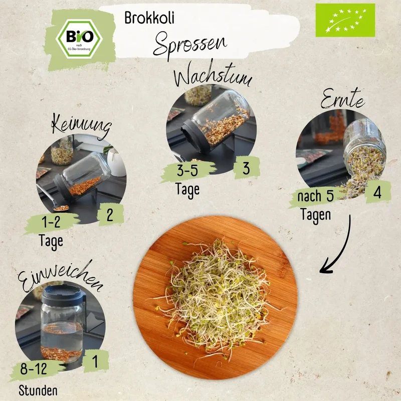 Bio Brokkolisprossen Samen 200g