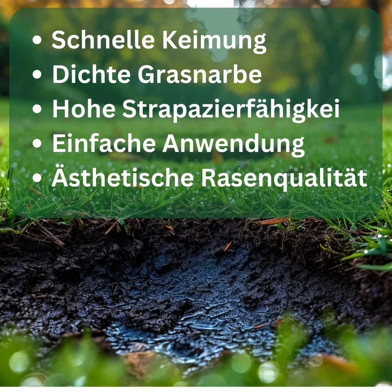 Rasensamen Lückenfüller Reparatur von Flora Boost für einen perfekten Rasen