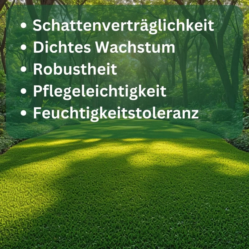 Rasensamen Schattenrasen von Flora Boost - Optimaler Rasen für schattige Flächen