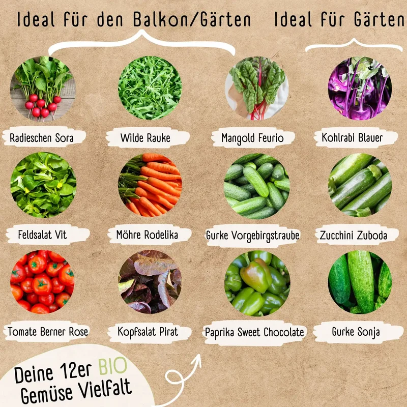 Gemüsewunder Starter-Set