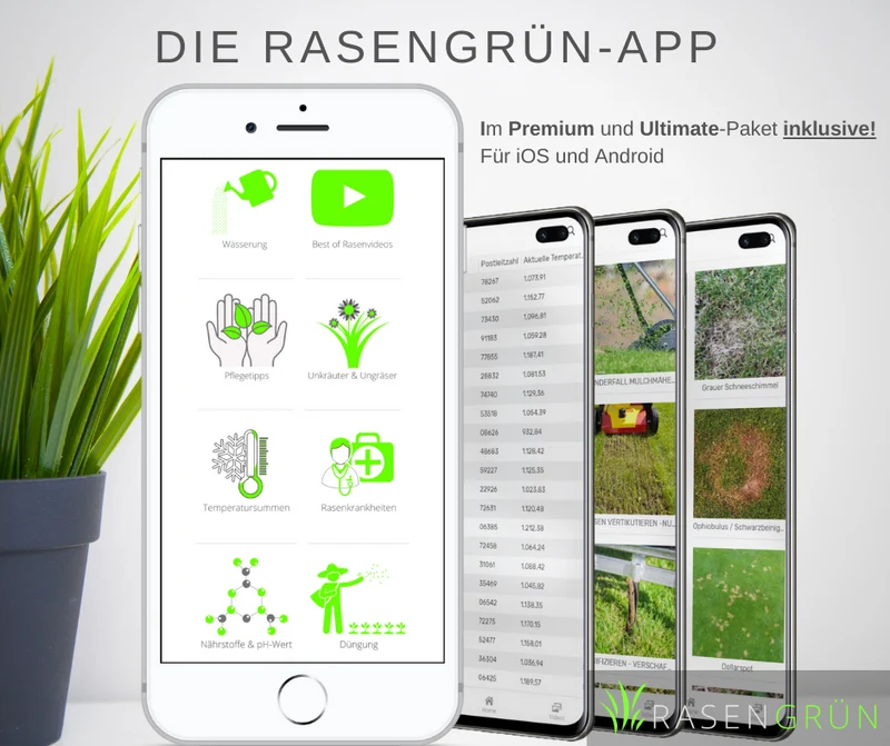 UPGRADE ! "Smart Green" online Rasen-Assessment und ihr individuell berechneter Bewässerungs- & Pflegeplan (Add-On)