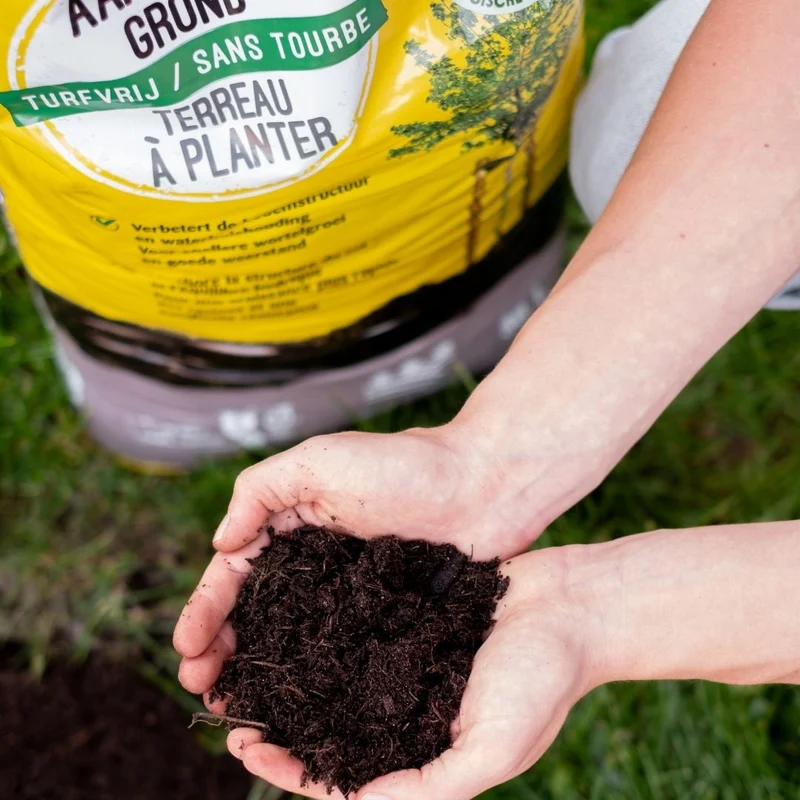 AanplantGrond