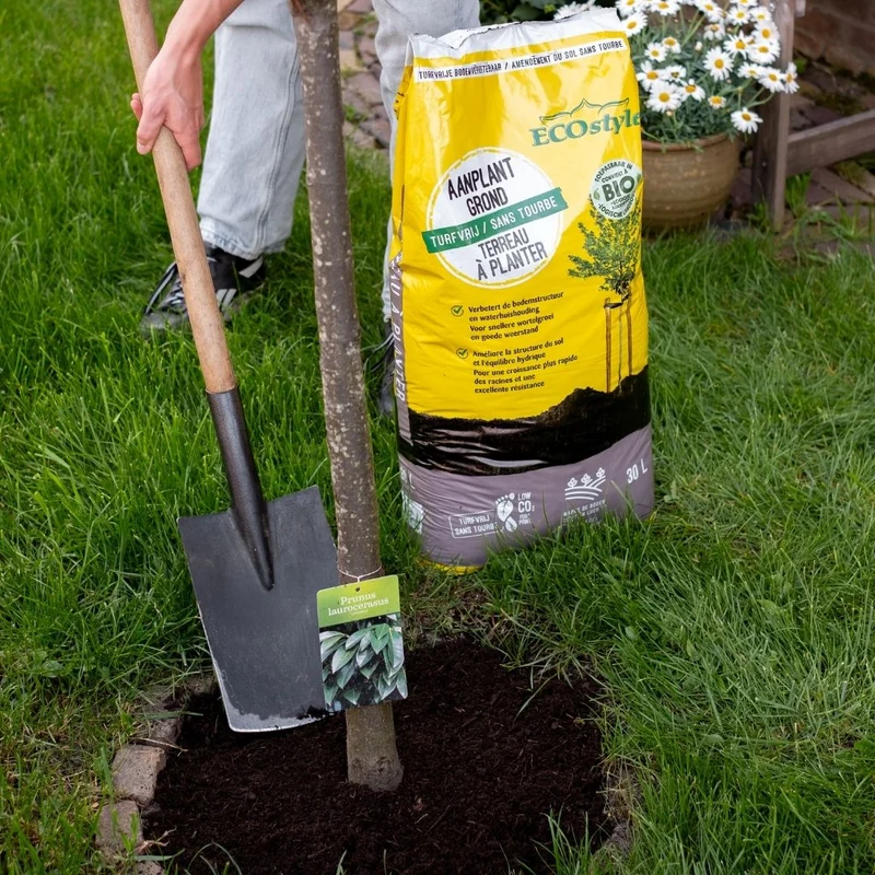 AanplantGrond