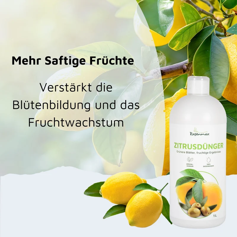 Rasenmax Zitrusdünger und Olivenbaumdünger 1 L