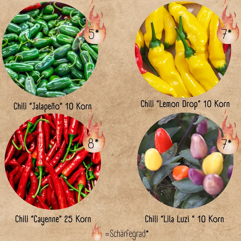 Bio Chili Anzucht Set