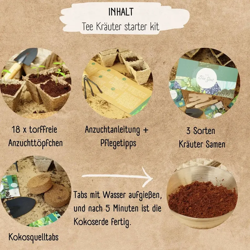 Bio Anzuchtset Geschenk