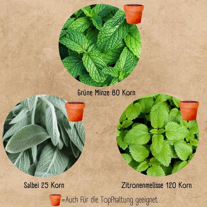 Bio Anzuchtset Geschenk