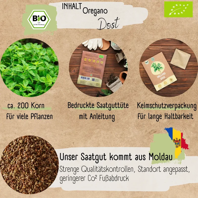 Bio Oregano Samen