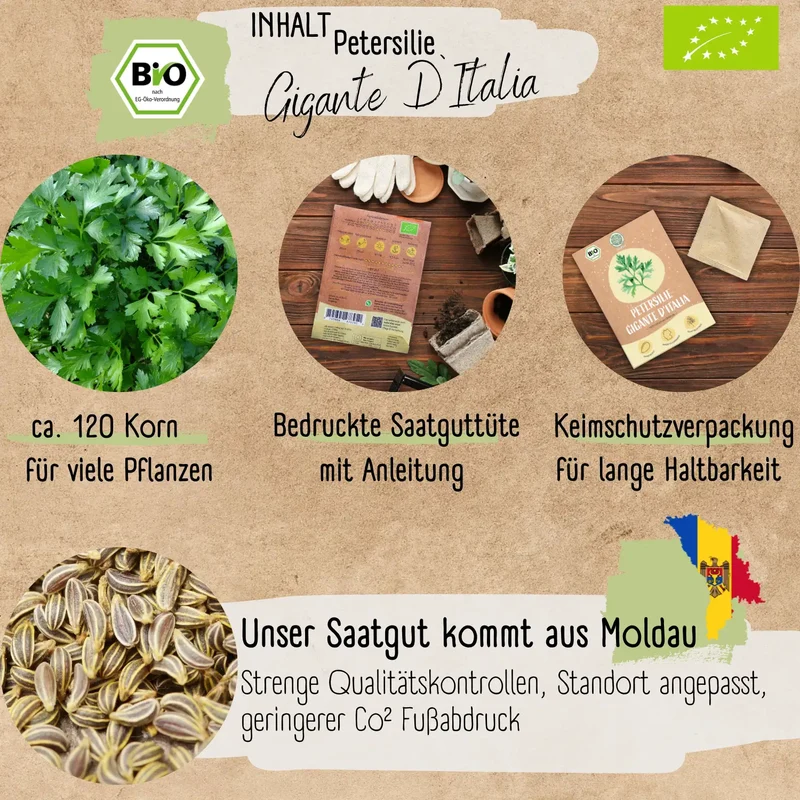 Bio Petersilie Samen