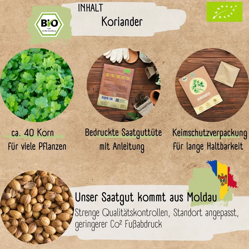 Bio Koriander Samen