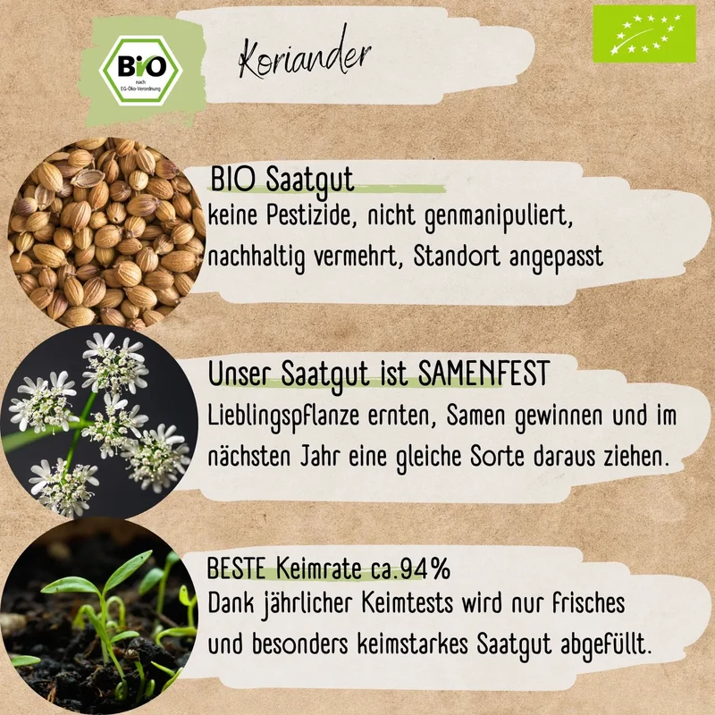 Bio Koriander Samen